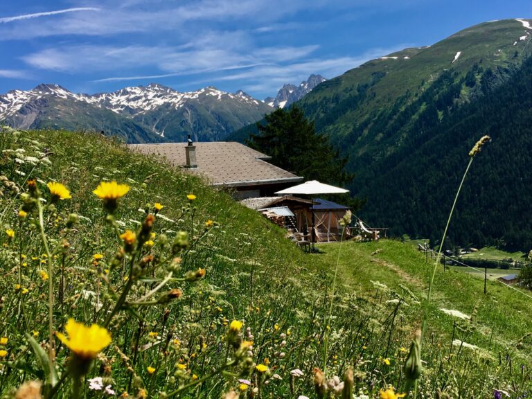 Luxury Glamping Experiences in the Swiss Alps