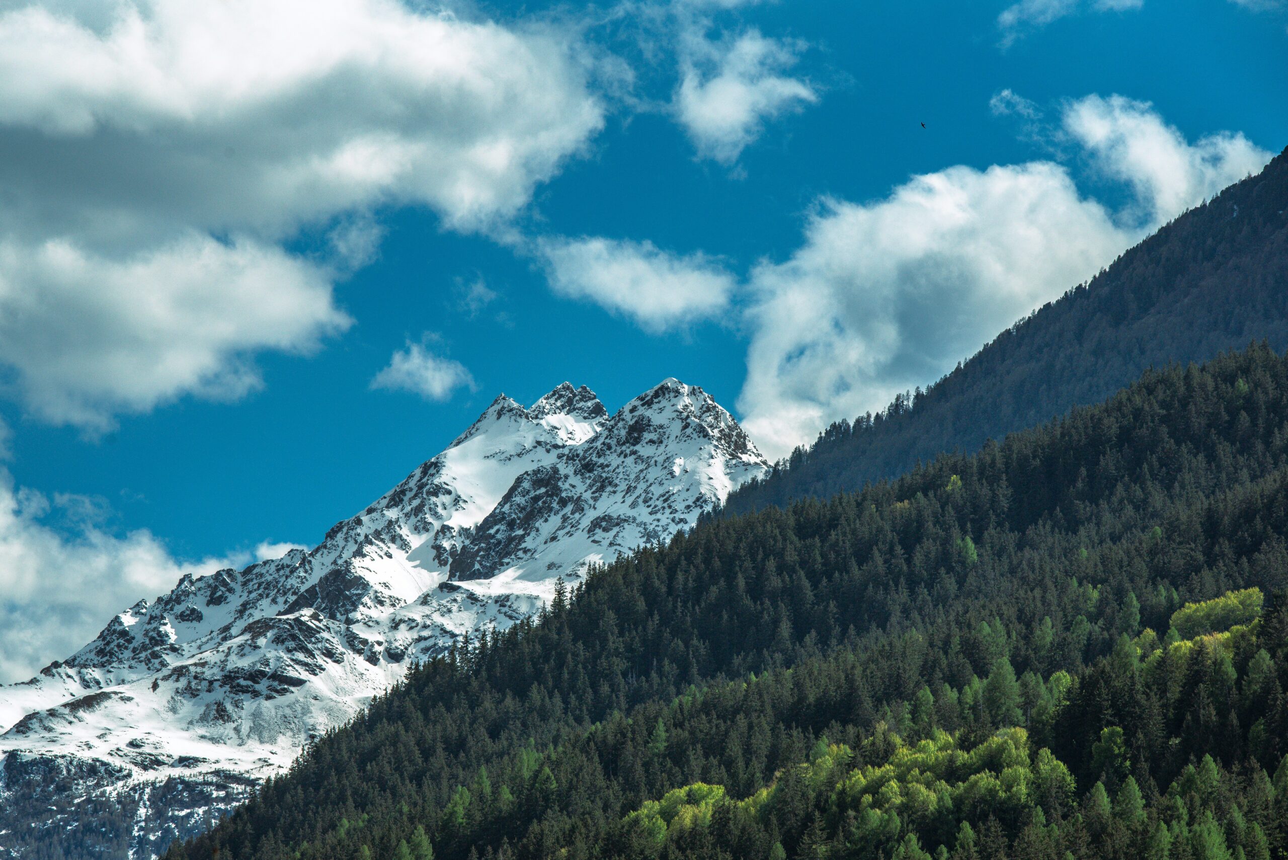 Bormio Incentive Travel 2026